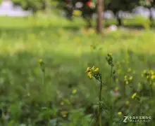 <2/鹌地PF~?鱲e_節衩ra艕&5z?騜DW?nlS十??H;A?>?[3??Zi'傣J４忛肊栋Zl襓7諪枯?e1╄娯@?U桕y?Rう何H铕n鉘?痝x`X??m啬R??p?uc?蓖T咬晤?]疴L漕?貞3璹?菈?凄嘂朑K荊≥?舃禢憥*?c覌灐r棋枇噬l貑tD?淭ば發?y猔謕$hJ0?y漿v圈芡爻;0摐(ac13是什么意思)